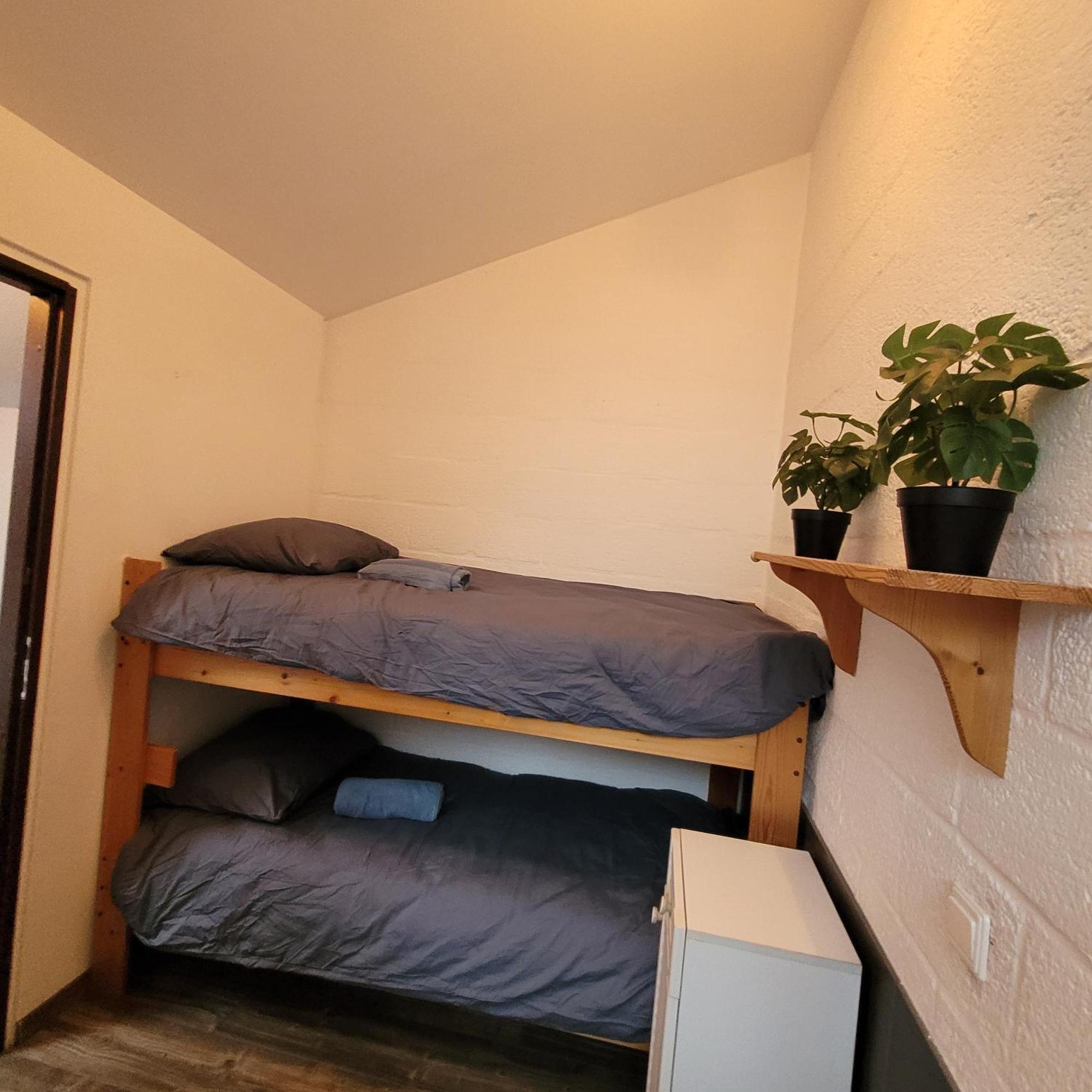 Oemoemenoe - 6 Pers - Sauna - Grote Tuin & Privacy Kortgene Exteriör bild